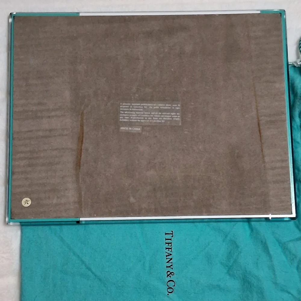 Tiffany & Co X Luxottica Acrylic Display Tray (glorifier) with Dustie.